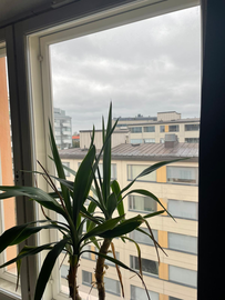 Kolmas linja 32, Kallio, Helsinki