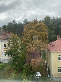 Palomäentie 30, Pyynikki, Tampere