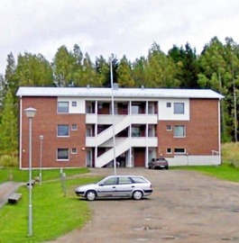 Tähtiniemenraitti 4b, Petäjävesi, Petäjävesi