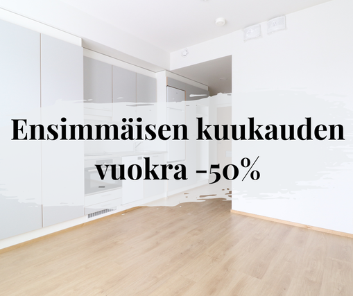 Rental Oulu  1 room