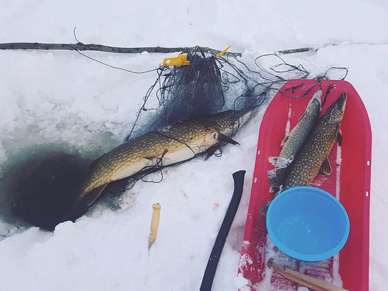 Net fishing in winter's coldness