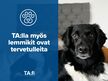 Ristiniementie 16, Espoonlahti, Espoo