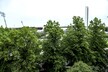 Urheilukatu 18 B 42, Töölö, Helsinki