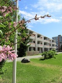 Brennerinpolku 3 C 18, , Vaasa
