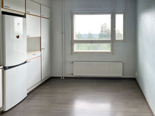 Pääskynlento 9, Pääskyvuori, Turku