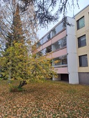 Sarvikatu 8 G, Jalkaranta, Lahti