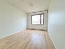 Kiulu 5, Kuokkalanpelto, Jyväskylä