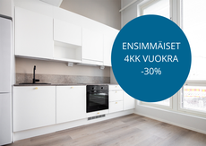 Ruissalontie 17, Kirstinpuisto, Turku