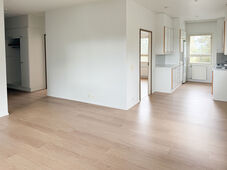 Pääskynlento 9, Pääskyvuori, Turku