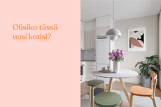 Keinukatu 2 A26, Keinusaari, Hämeenlinna