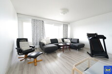 Visatie 5, Koivula, Pori