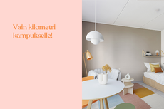 Pesispolku 1 B86, Peltokylä, Riihimäki