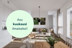 Ruissalontie 13, Kirstinpuisto, Turku