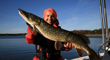 Record size Pike Fishing (1 to 3 persons)