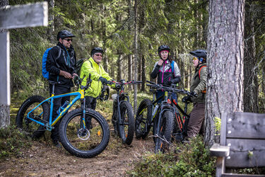 Fatbike safaris to Häähnintupa available for order all year round