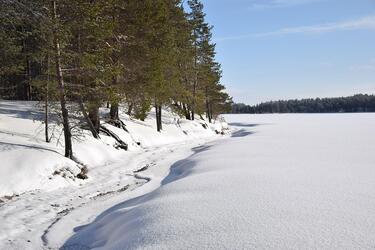 Posio - vuokramökit ja majoitus: 39 kpl 