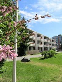 Brennerinpolku 3 C 18, , Vaasa