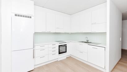 Otto Brandtin tie 16 A, Oulunkylä, Helsinki