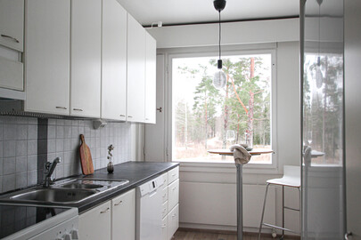 Lammassaarentie, Ylinen, Ylöjärvi