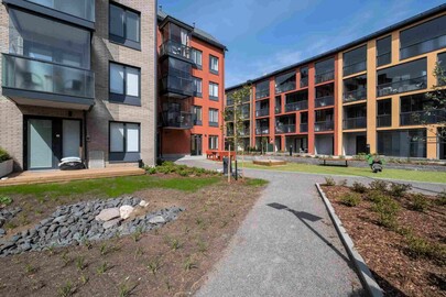 Taidemaalarinkatu 8 C, Kuninkaantammi, Helsinki