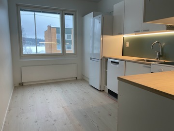 Rantatie 18, Haapaniemi, Viitasaari