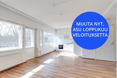 Vilhonkatu 15 A-B, Martti, Turku