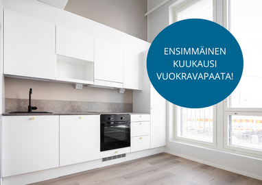 Ruissalontie 17, Kirstinpuisto, Turku