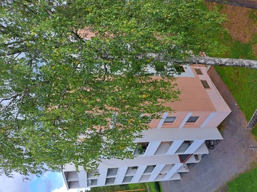 Kaituentie 46, Laajalampi, Mikkeli