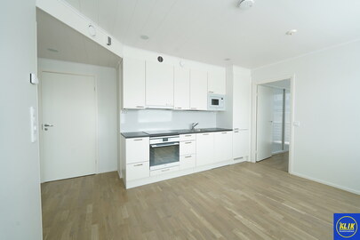 Luotsinmäenpuistokatu 23, Isosanta, Pori