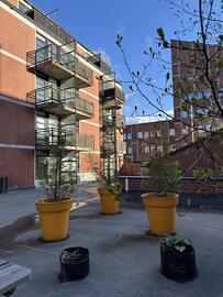 Pronssitie 2, Pohjois-Haaga, Helsinki