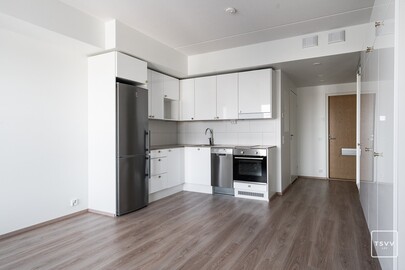 Ruissalontie 13 B, Kirstinpuisto, Turku