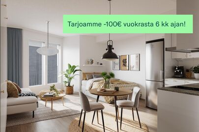 Ruissalontie 13, Kirstinpuisto, Turku