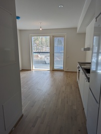 Linkkitorninkatu 11, Pääskyvuori, Turku