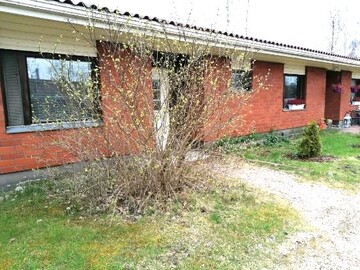 Suntiontie 3 B, Autio, Kurikka