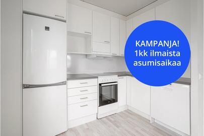 Ankkarinraitti 4, Janka, Tampere