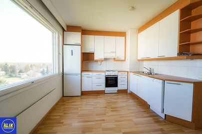 Visatie 3, Koivula, Pori