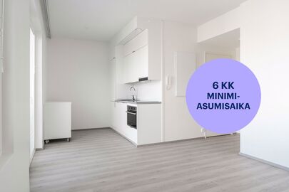 Hippoksentie 31, Vasaramäki, Turku
