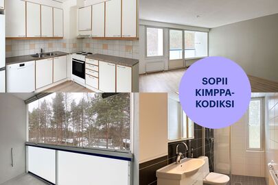 Jalohaukantie 1, Kaukovainio, Oulu
