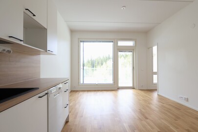 Rissonkatu 52, Lamminrahka, Kangasala