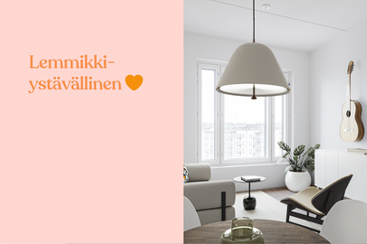 Keinukatu 4 A100, Keinusaari, Hämeenlinna