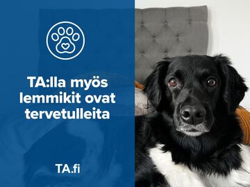 Ristiniementie 16, Espoonlahti, Espoo