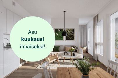 Ruissalontie 13, Kirstinpuisto, Turku