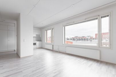 Schaumanin puistotie 27, Lutakko, Jyväskylä