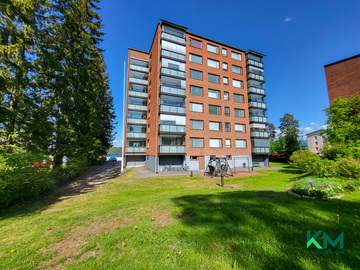 Laitaatsillantie 6, Sortteerinlahti, Savonlinna