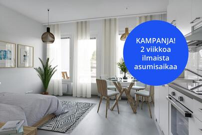Vapaa-ajanmaa 5, Kaleva, Tampere