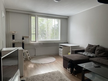 Keltinmäentie 21 A, Keltinmäki, Jyväskylä