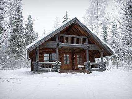 Vuokramökki Kinnula, Metsä-pihlaja 