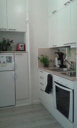 Rental Helsinki Sörnäinen 1 room Karkea pohjapiirros