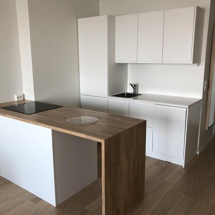 Rental Oulu Toivoniemi 1 room Ikkunanäkymä Hartaanselälle