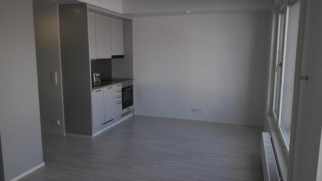 Rental Järvenpää Pajala 1 room